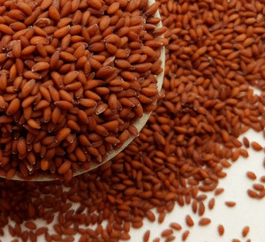 Red Seeds الحبه الحمرا