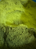 بودرة المورينجا العضوية morenga bowder